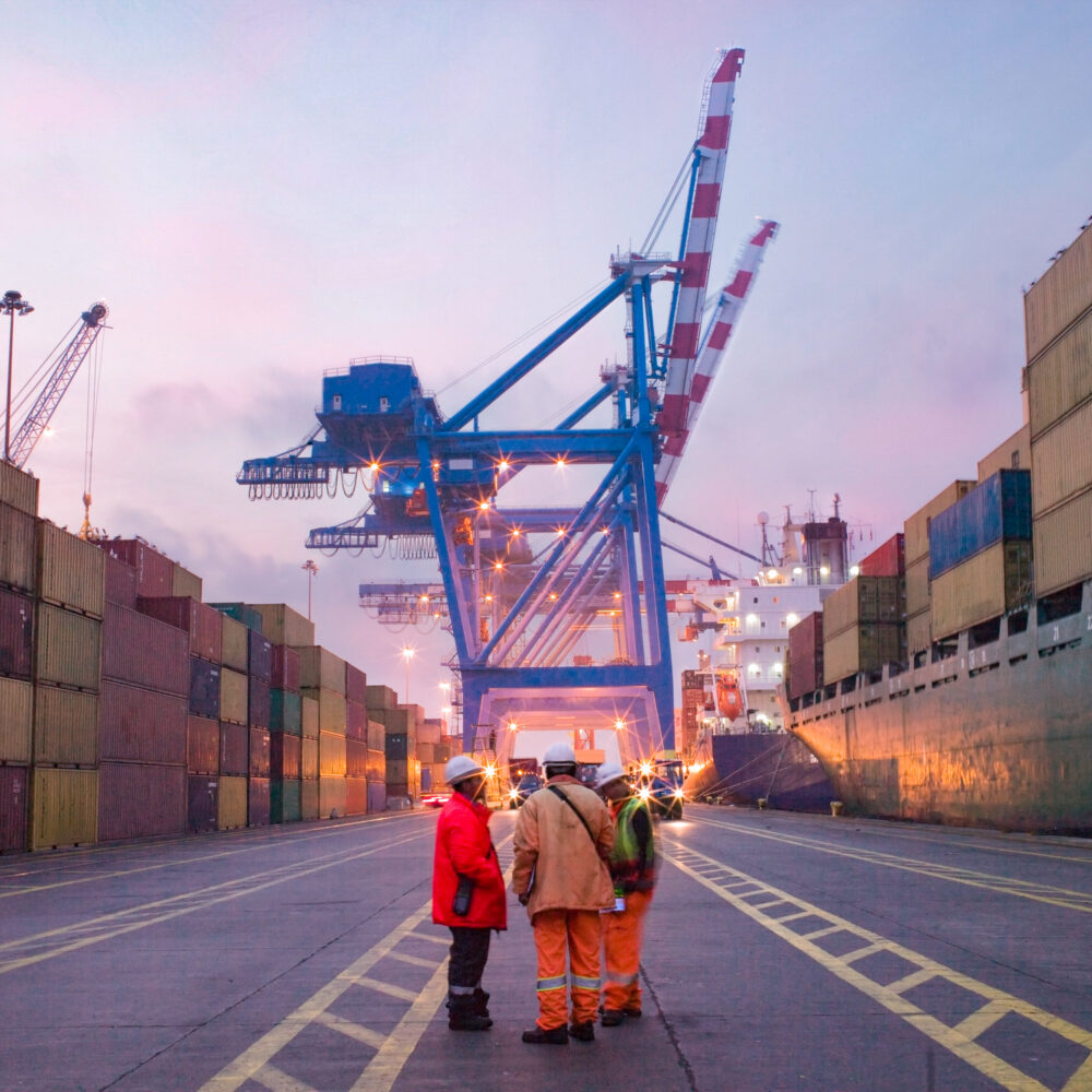 Group of 4PL logistics personnel in the port yard standing in front of a large crane and many shipping containers.